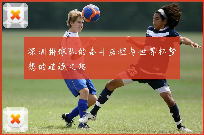 深圳排球队的奋斗历程与世界杯梦想的追逐之路