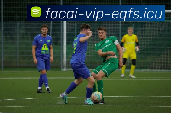 华体会体育注册品牌故事