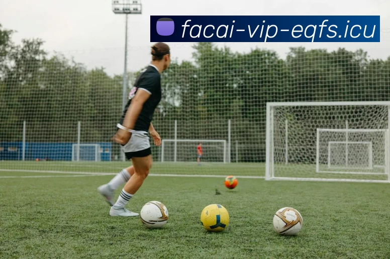 华体会体育注册服务体系